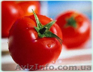 Продам лук,  помидор - <ro>Изображение</ro><ru>Изображение</ru> #1, <ru>Объявление</ru> #33153