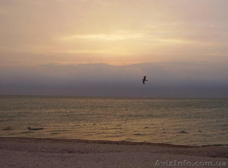 Продам участок на берегу Азовского моря - <ro>Изображение</ro><ru>Изображение</ru> #1, <ru>Объявление</ru> #57599