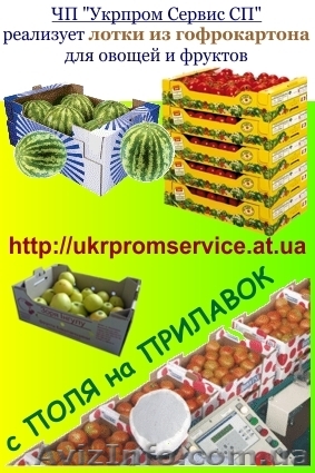 Гофроящики, коробки, лотки из гофрокартона - <ro>Изображение</ro><ru>Изображение</ru> #1, <ru>Объявление</ru> #211706