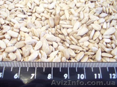 Продам Ядро семян подсолнечника - <ro>Изображение</ro><ru>Изображение</ru> #1, <ru>Объявление</ru> #262520