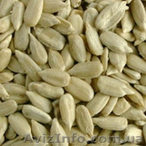 ядро семечки подсолнечника - <ro>Изображение</ro><ru>Изображение</ru> #1, <ru>Объявление</ru> #262515