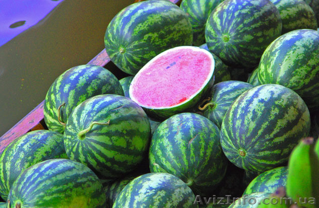 оптом реализуем арбуз - <ro>Изображение</ro><ru>Изображение</ru> #1, <ru>Объявление</ru> #280834