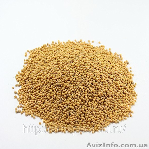 Куплю горчицу Желтую - <ro>Изображение</ro><ru>Изображение</ru> #1, <ru>Объявление</ru> #327406