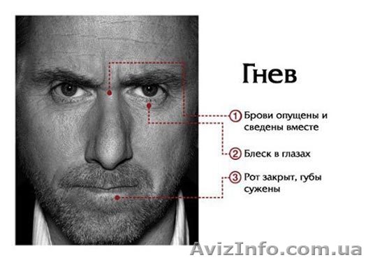 Тренинг по выявлению лжи - <ro>Изображение</ro><ru>Изображение</ru> #1, <ru>Объявление</ru> #363086