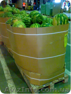 Экспорт арбуза от производителя - <ro>Изображение</ro><ru>Изображение</ru> #1, <ru>Объявление</ru> #383623