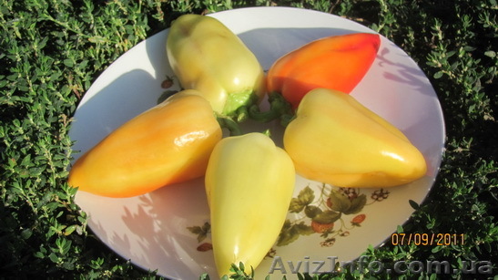 Продается экологически чистый перец - <ro>Изображение</ro><ru>Изображение</ru> #1, <ru>Объявление</ru> #375116