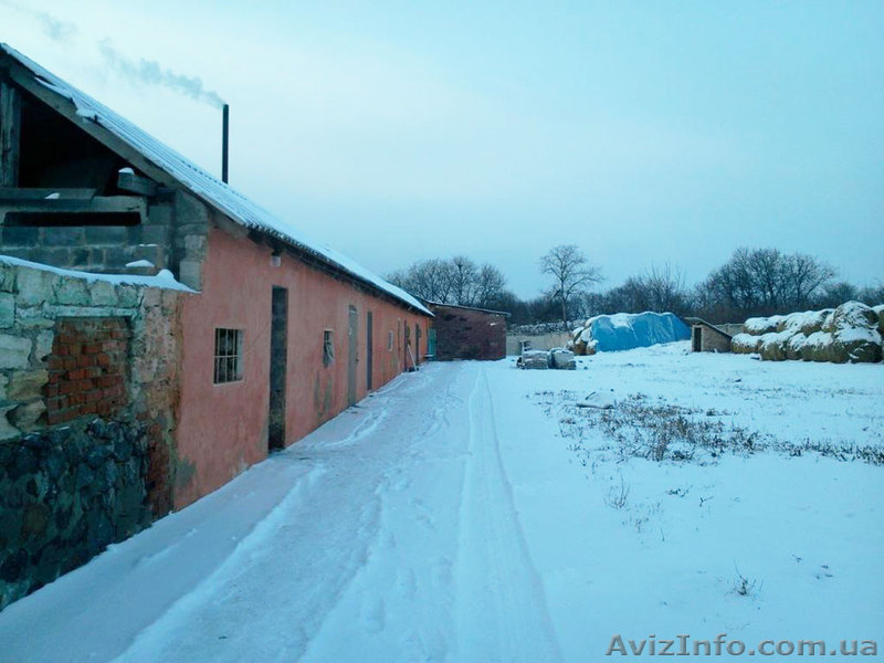 Продается бизнес по выращиванию грибов вешенка - <ro>Изображение</ro><ru>Изображение</ru> #1, <ru>Объявление</ru> #504237