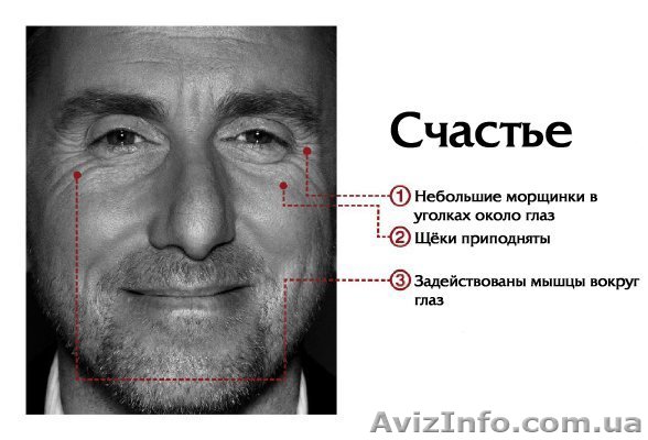 Тренинг, теория лжи - <ro>Изображение</ro><ru>Изображение</ru> #1, <ru>Объявление</ru> #504023