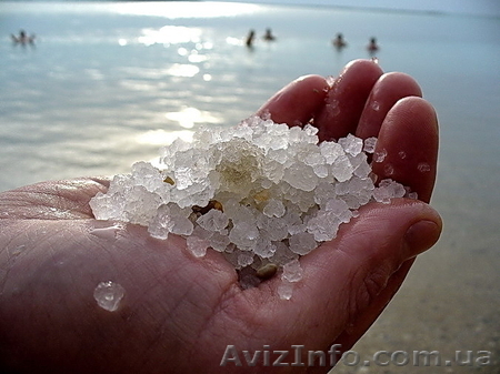Передам корпоративные права на участок 5 га на Арбатской стрелке - <ro>Изображение</ro><ru>Изображение</ru> #1, <ru>Объявление</ru> #701023