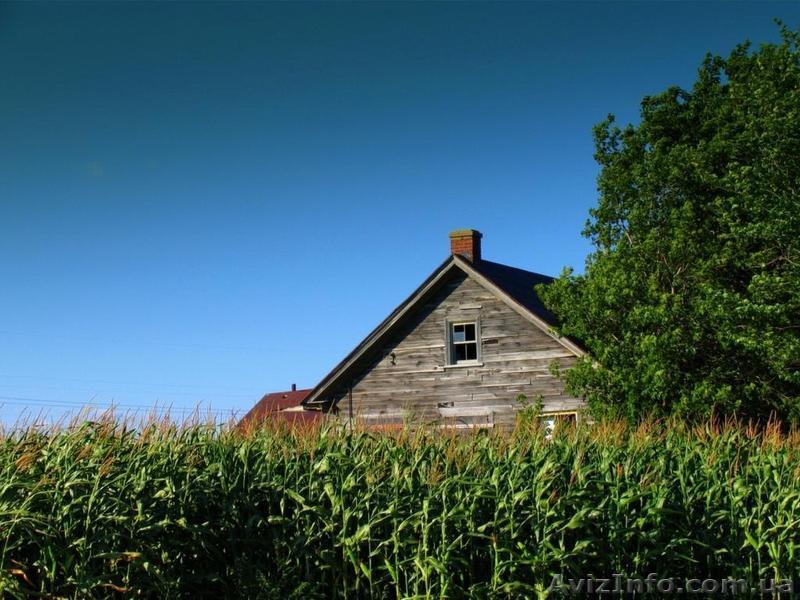 Продам участок на  море - <ro>Изображение</ro><ru>Изображение</ru> #1, <ru>Объявление</ru> #707076