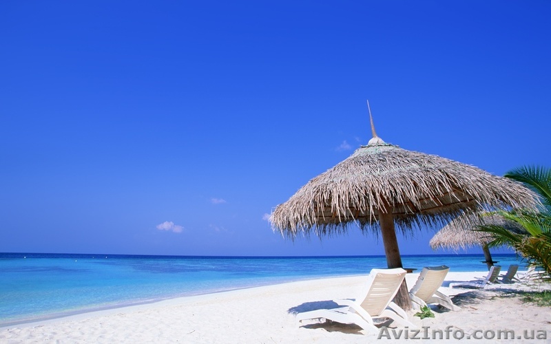 Эксклюзивное предложение! Продам участок на море! - <ro>Изображение</ro><ru>Изображение</ru> #1, <ru>Объявление</ru> #707741