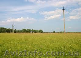 Срочно продам земельный участок на берегу Азовского моря - <ro>Изображение</ro><ru>Изображение</ru> #1, <ru>Объявление</ru> #707075