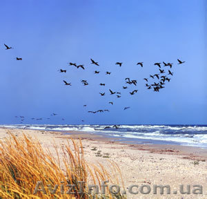 Продаю участок на расстоянии 300 м от моря - <ro>Изображение</ro><ru>Изображение</ru> #1, <ru>Объявление</ru> #707165