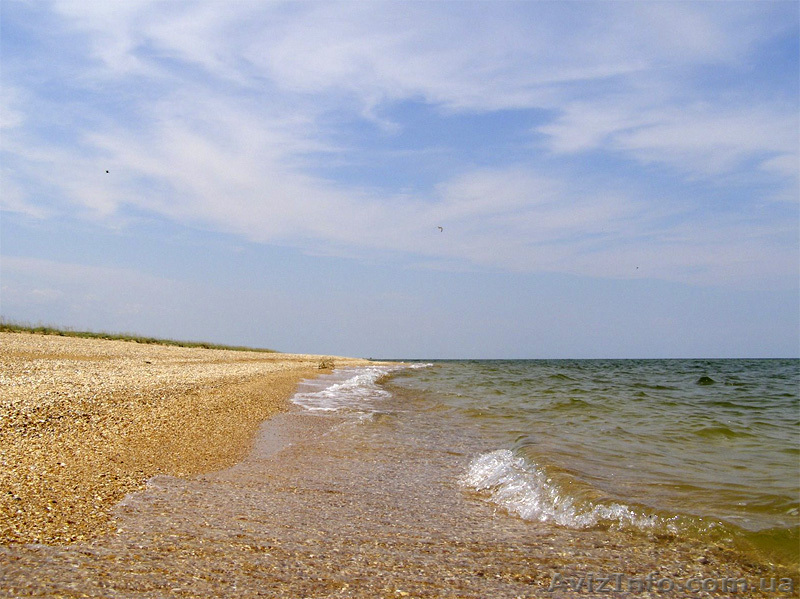 Продам земельный участок за пределами с. Стрелковое - <ro>Изображение</ro><ru>Изображение</ru> #1, <ru>Объявление</ru> #738853