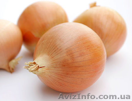 Продам лук, репчатый, салатный белый - <ro>Изображение</ro><ru>Изображение</ru> #1, <ru>Объявление</ru> #729373