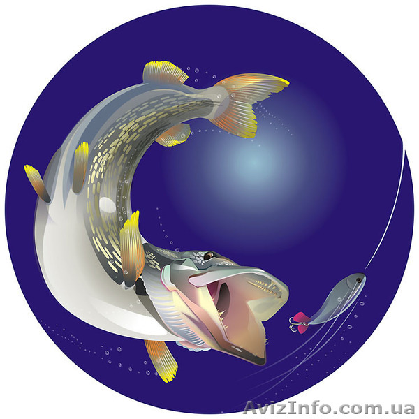 Ищу инвестора для открытия магазина рыбалки и туризма - <ro>Изображение</ro><ru>Изображение</ru> #1, <ru>Объявление</ru> #771809