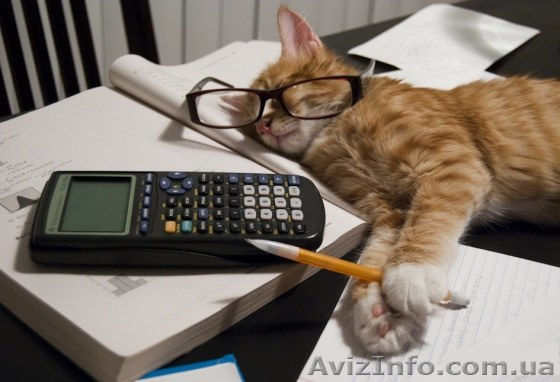 Курсы Бухгалтерский учет  для практикующих .  АКЦИЯ - <ro>Изображение</ro><ru>Изображение</ru> #1, <ru>Объявление</ru> #774628