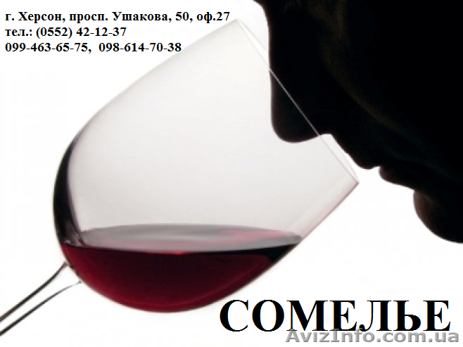 Сомелье. Обучение, курсы от учебного центра Академия успеха - <ro>Изображение</ro><ru>Изображение</ru> #1, <ru>Объявление</ru> #880428