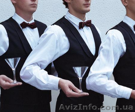 Бармен на круизное судно. Обучение с трудоустройством. - <ro>Изображение</ro><ru>Изображение</ru> #1, <ru>Объявление</ru> #913773