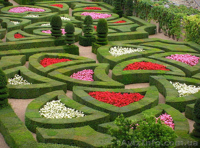 Курсы ландшафтного дизайна. Обучение в Херсоне с трудоустройством. - <ro>Изображение</ro><ru>Изображение</ru> #1, <ru>Объявление</ru> #927392