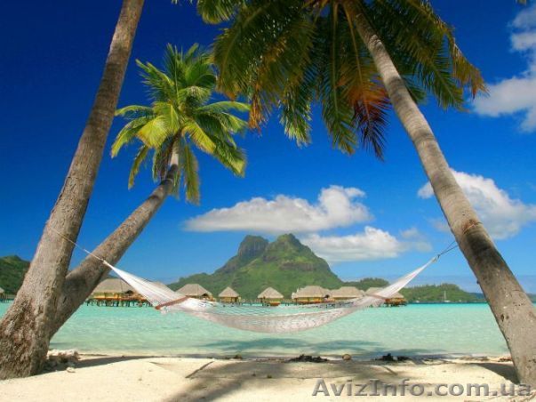 Управляющий турфирмой. Профессиональный курс. Курсы. Учебный центр Фурор - <ro>Изображение</ro><ru>Изображение</ru> #1, <ru>Объявление</ru> #947836