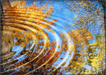 Искусство фотографии. Курсы. Учебный центр Фурор. - <ro>Изображение</ro><ru>Изображение</ru> #1, <ru>Объявление</ru> #954805