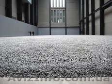 Семечку подсолнуха - <ro>Изображение</ro><ru>Изображение</ru> #1, <ru>Объявление</ru> #969485