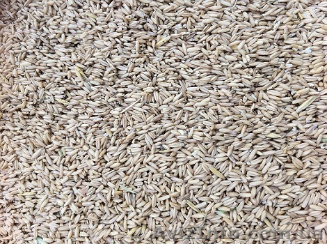 овес голозерный продам - <ro>Изображение</ro><ru>Изображение</ru> #1, <ru>Объявление</ru> #990516