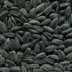 Реализуем семечку кондитерскую - <ro>Изображение</ro><ru>Изображение</ru> #1, <ru>Объявление</ru> #995830