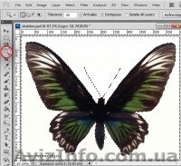 Курсы CorelDRAW - <ro>Изображение</ro><ru>Изображение</ru> #1, <ru>Объявление</ru> #1068636
