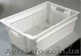 Тара пластмассовая. Ящик  - <ro>Изображение</ro><ru>Изображение</ru> #1, <ru>Объявление</ru> #1147931