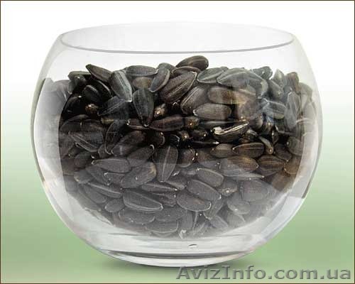 кондитерский подсолнух 38+ - <ro>Изображение</ro><ru>Изображение</ru> #1, <ru>Объявление</ru> #1149442