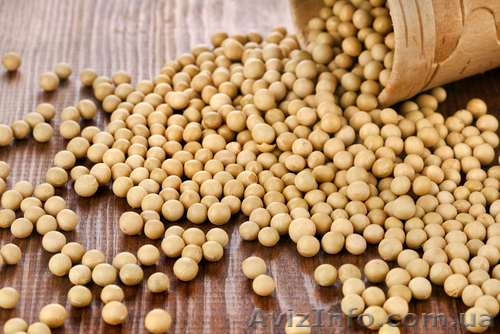  3.	Соя, жмых подсолнуха, подсолнечное масло - <ro>Изображение</ro><ru>Изображение</ru> #1, <ru>Объявление</ru> #1165523