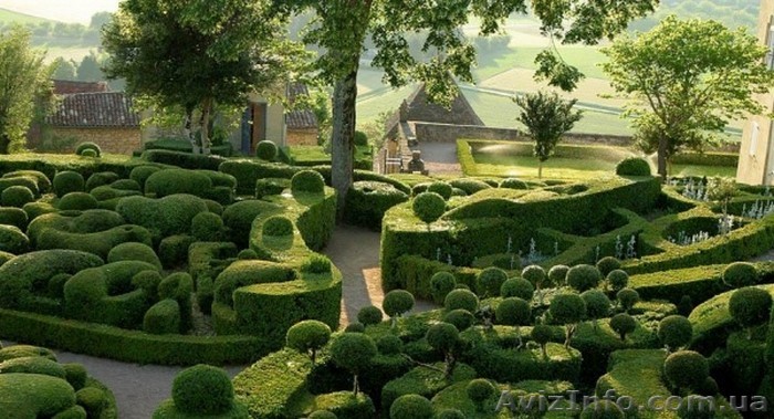 Твой Успех обязан быть по фен шую! Херсон. Таврический - <ro>Изображение</ro><ru>Изображение</ru> #1, <ru>Объявление</ru> #1214502