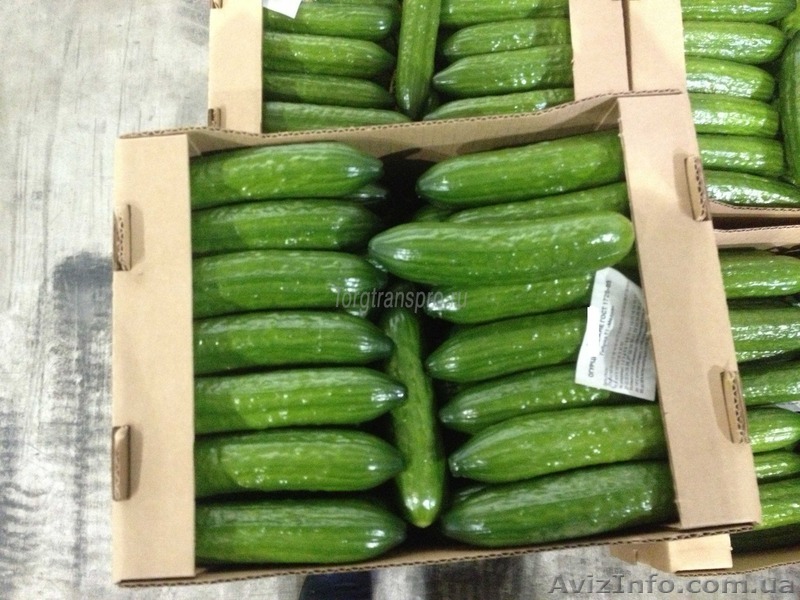 Ящики для Огурцов - <ro>Изображение</ro><ru>Изображение</ru> #1, <ru>Объявление</ru> #1257224