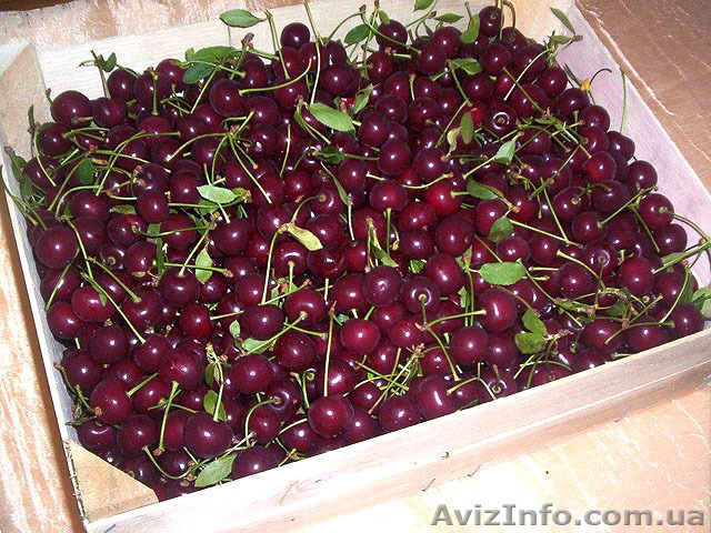Ящики для Черешни - <ro>Изображение</ro><ru>Изображение</ru> #1, <ru>Объявление</ru> #1257215