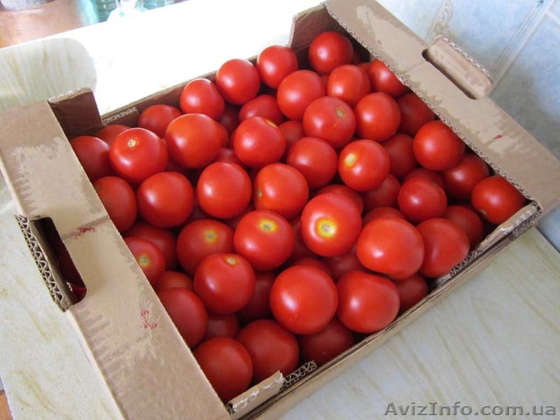 Ящики для Помидоров, - <ro>Изображение</ro><ru>Изображение</ru> #1, <ru>Объявление</ru> #1257228