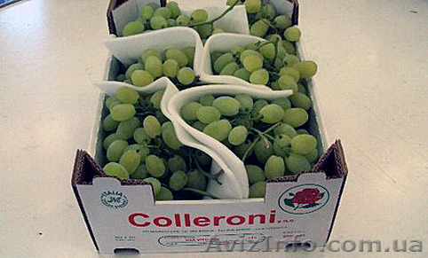 Ящики для Винограда - <ro>Изображение</ro><ru>Изображение</ru> #1, <ru>Объявление</ru> #1257238