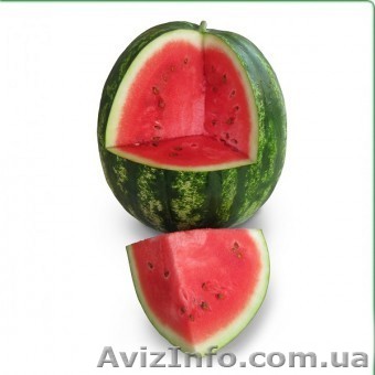 Семена арбуза KS 24 F1 (Китано) - <ro>Изображение</ro><ru>Изображение</ru> #1, <ru>Объявление</ru> #1274628