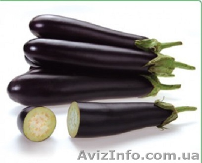 Семена баклажана SAMURAI F1 / САМУРАЙ F1 фирмы Китано - <ro>Изображение</ro><ru>Изображение</ru> #1, <ru>Объявление</ru> #1277193