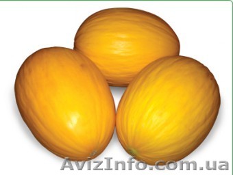 Семена дыни AGASI F1 / АГАСИ F1 фирмы Китано - <ro>Изображение</ro><ru>Изображение</ru> #1, <ru>Объявление</ru> #1274630