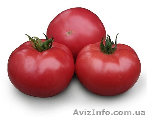 Семена розового томата KS 38 F1 (Китано) - <ro>Изображение</ro><ru>Изображение</ru> #1, <ru>Объявление</ru> #1277194