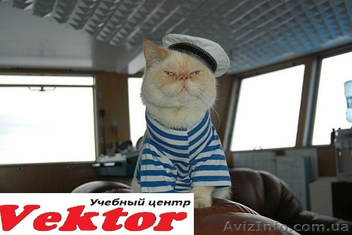 Курсы английского языка для моряков. Херсон. Обучение английского языка в Херсон - <ro>Изображение</ro><ru>Изображение</ru> #1, <ru>Объявление</ru> #1292661