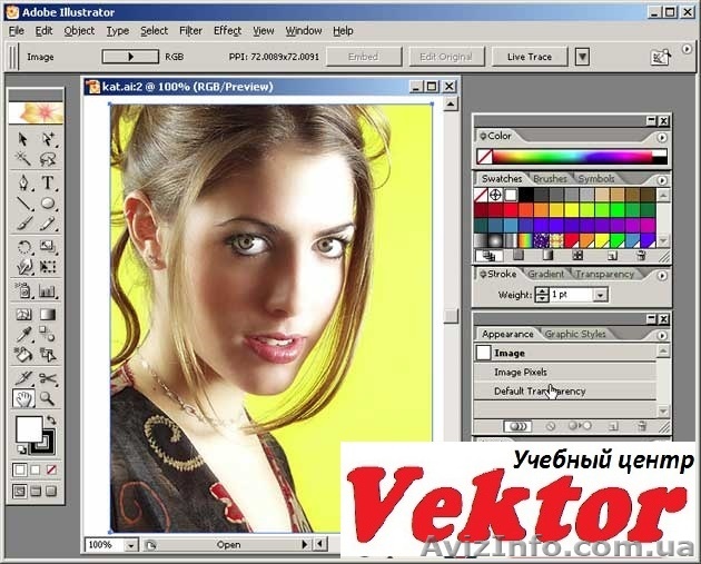 Илюстратор (Illustrator ). КУРСЫ В ХЕРСОНЕ. - <ro>Изображение</ro><ru>Изображение</ru> #1, <ru>Объявление</ru> #1298772