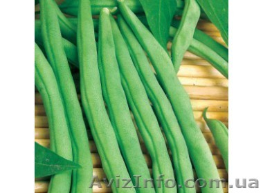 Продам семена спаржевой фасоли. - <ro>Изображение</ro><ru>Изображение</ru> #1, <ru>Объявление</ru> #1364947