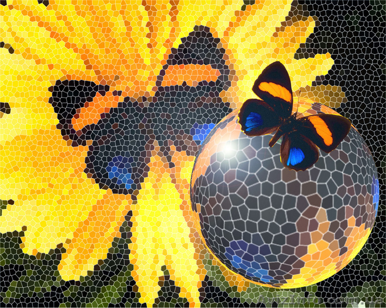 Курсы компьютерной графики. Нота Бене.  - <ro>Изображение</ro><ru>Изображение</ru> #1, <ru>Объявление</ru> #1488815