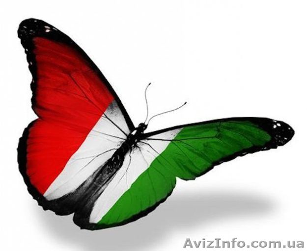 Курсы венгерского языка в учебном центре «Твой Успех» - <ro>Изображение</ro><ru>Изображение</ru> #1, <ru>Объявление</ru> #1488801