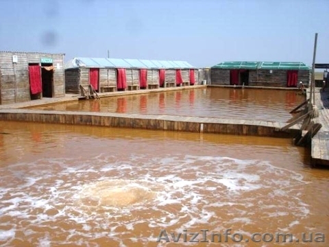 Горячий источник из Херсона в Железный порт - <ro>Изображение</ro><ru>Изображение</ru> #1, <ru>Объявление</ru> #1504218