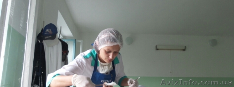 Услуги медсестры на дому. - <ro>Изображение</ro><ru>Изображение</ru> #1, <ru>Объявление</ru> #1068911