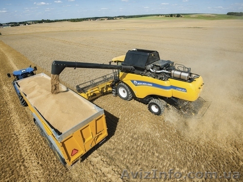 Зерноуборочный комбайн NEW HOLLAND СХ8.80 - <ro>Изображение</ro><ru>Изображение</ru> #1, <ru>Объявление</ru> #1545020